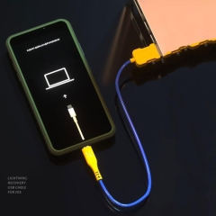Mechanic iDate Lightning Recovery USB Cable for iOS