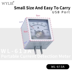 Wylie WL-613A Portable Current Detection Meter
