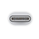 USB-C to Lightning Adapter For IPhone / IPad