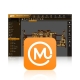 MaAnt Intelligent Maintenance Assistant Software VIP Online Authorization Code